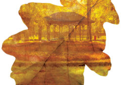 Plakat: Jesienny park w obiektywie